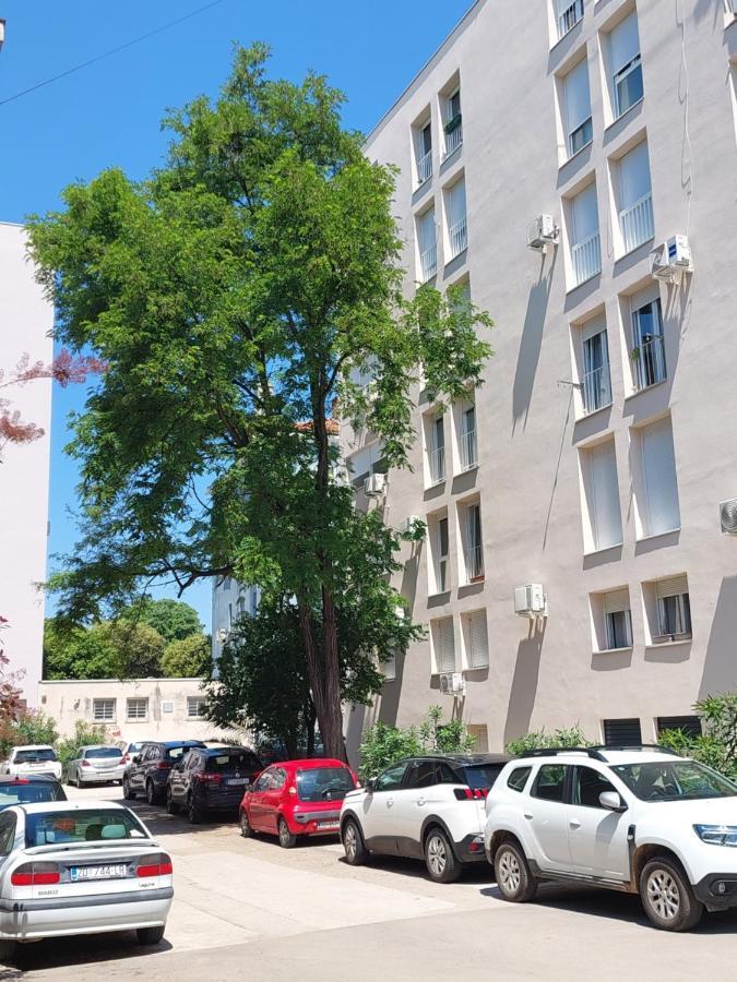 Marinero Apartment Zadar Exterior foto